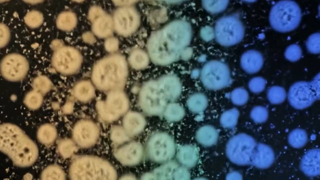 Projects 1 moments of impermanence 2025